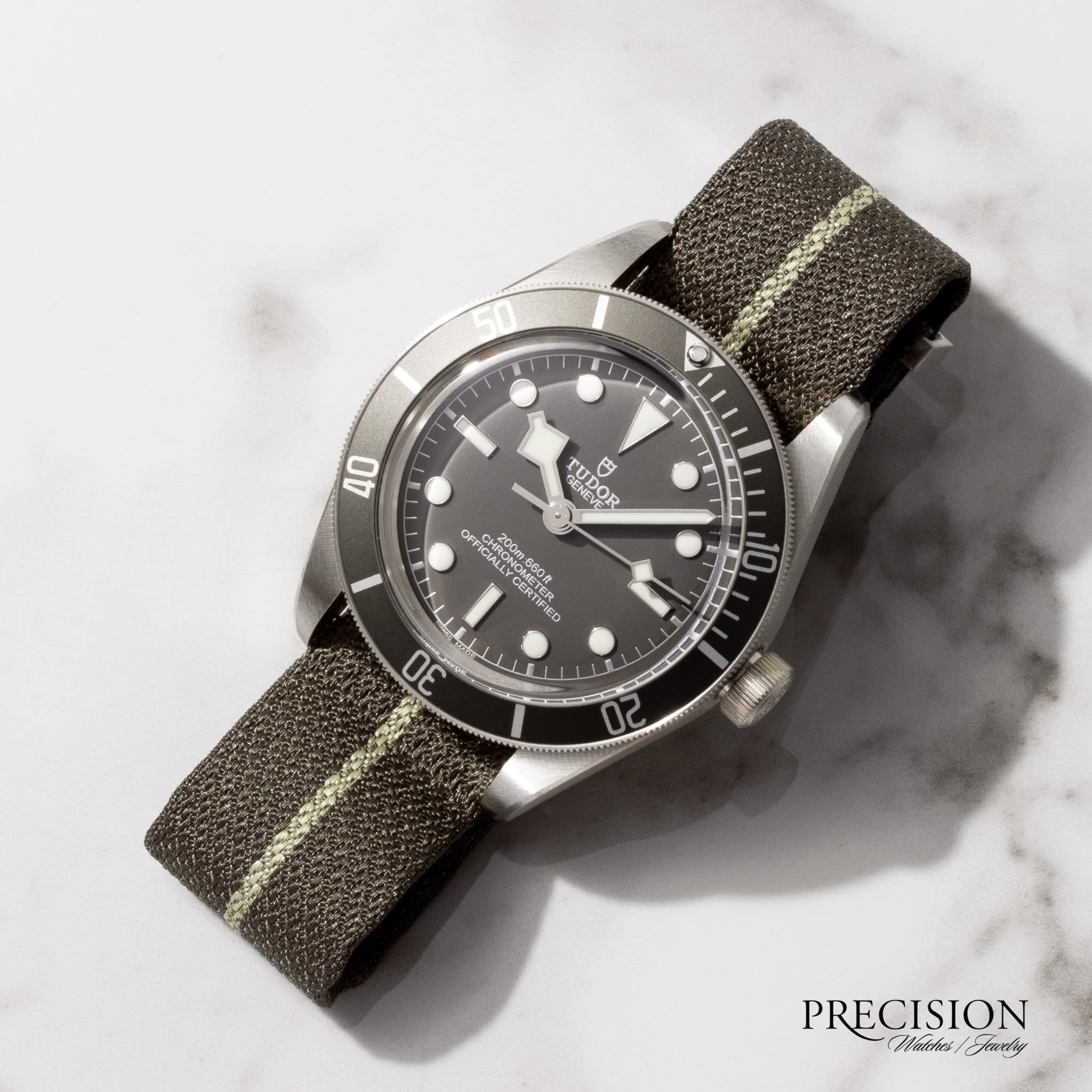 2021 new tudor watch release