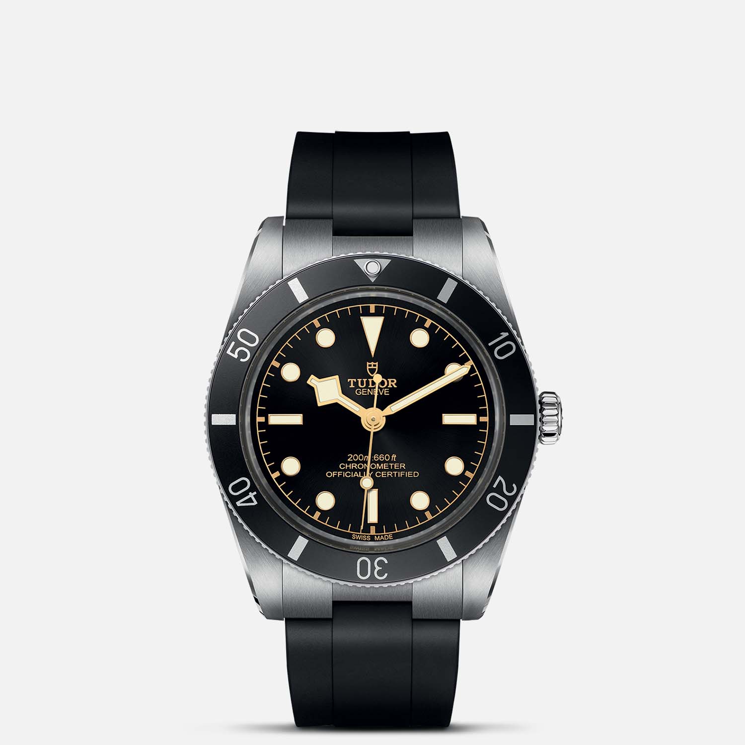 TUDOR Black Bay 54 M79000N-0002