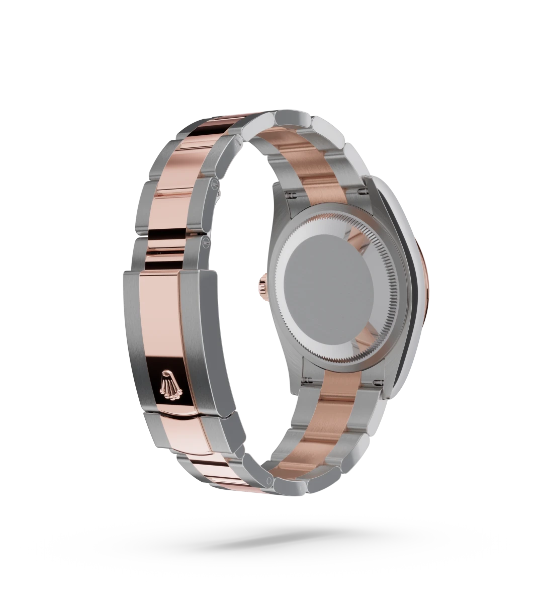 Oyster, 36 mm, Oystersteel and Everose gold