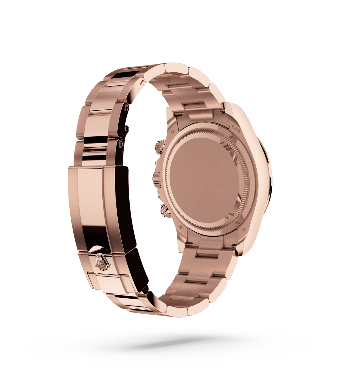 Oyster, 40 mm, Everose gold and diamonds