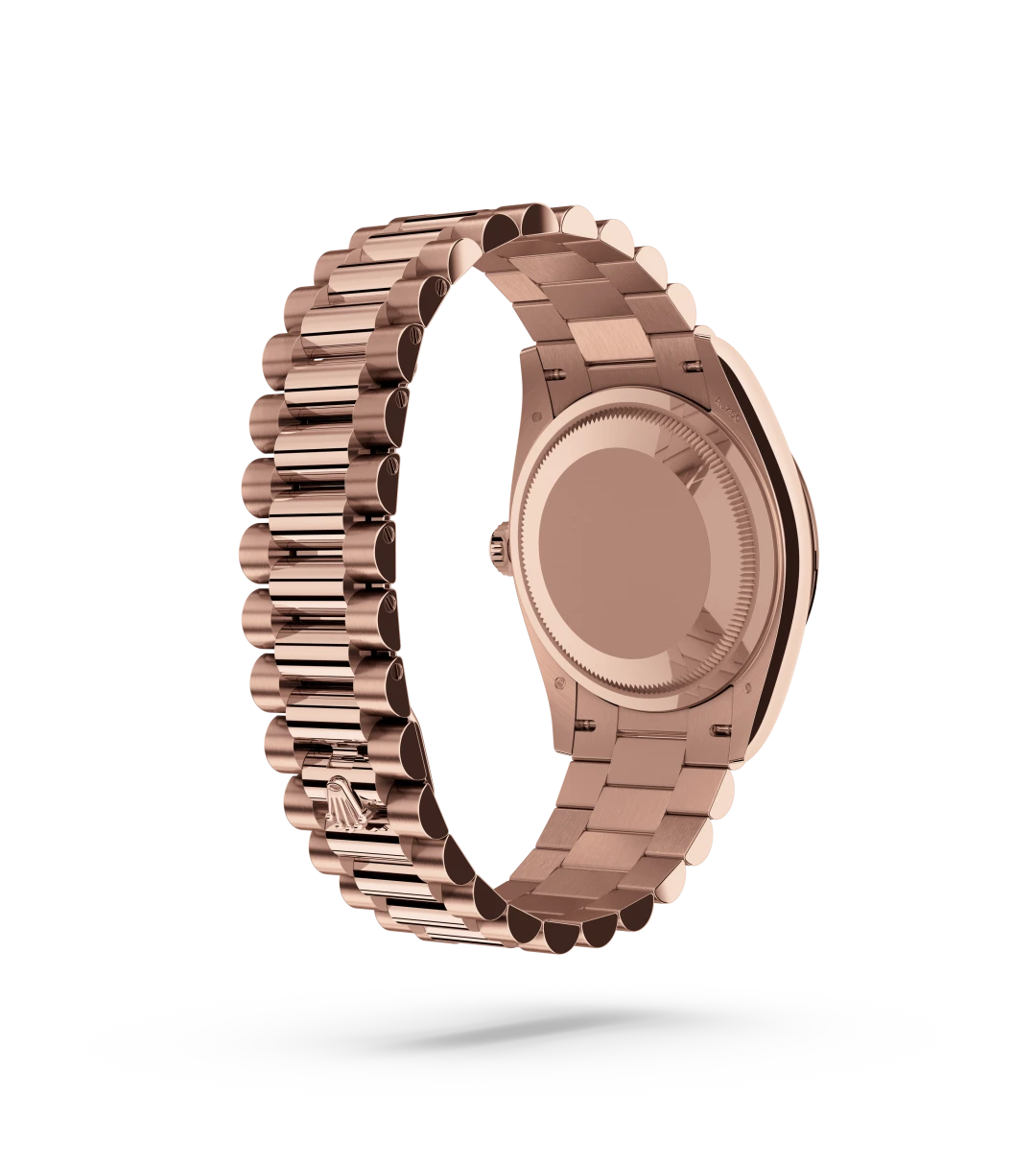 Oyster, 36 mm, Everose gold