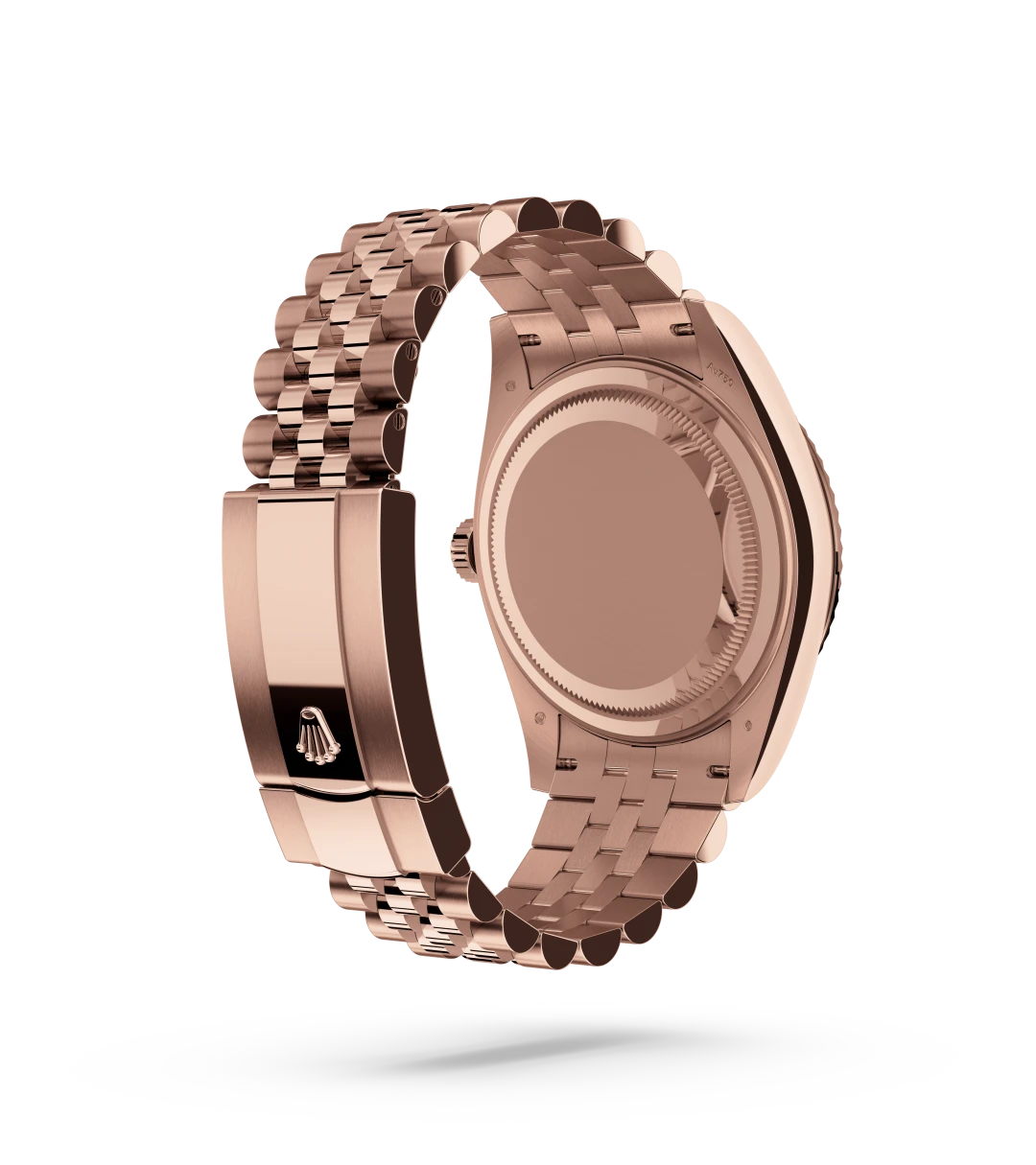 Oyster, 42 mm, Everose gold